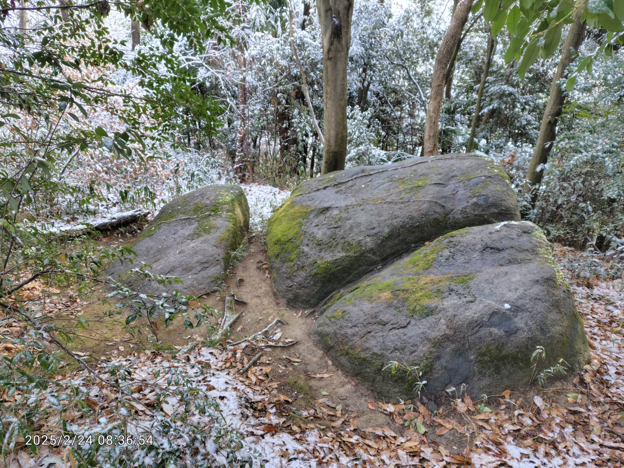 藤原京から見た雪の日の、天香具山にある『月の誕生石』